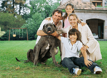 Family of four with their family dog in the front yard of their home